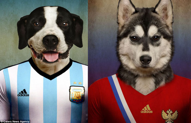 Điểm mặt các đội tuyển dự World Cup qua...ảnh chó ảnh 8