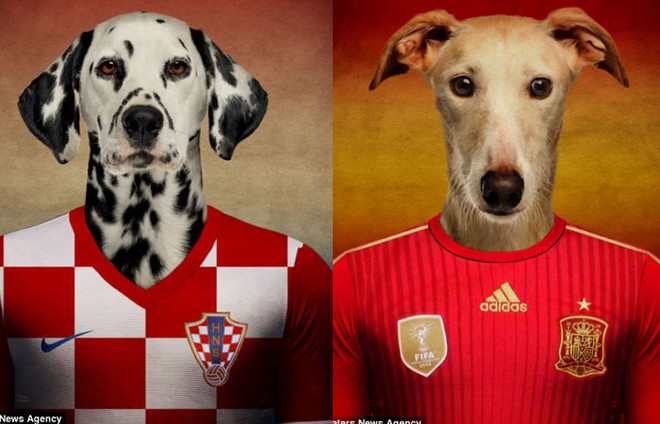 Điểm mặt các đội tuyển dự World Cup qua...ảnh chó ảnh 2