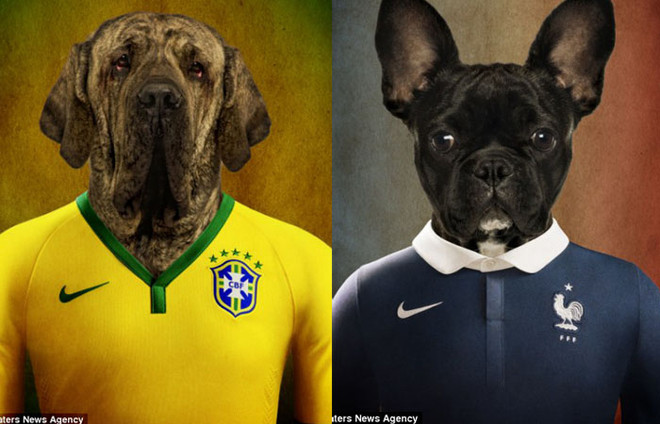 Điểm mặt các đội tuyển dự World Cup qua...ảnh chó ảnh 3