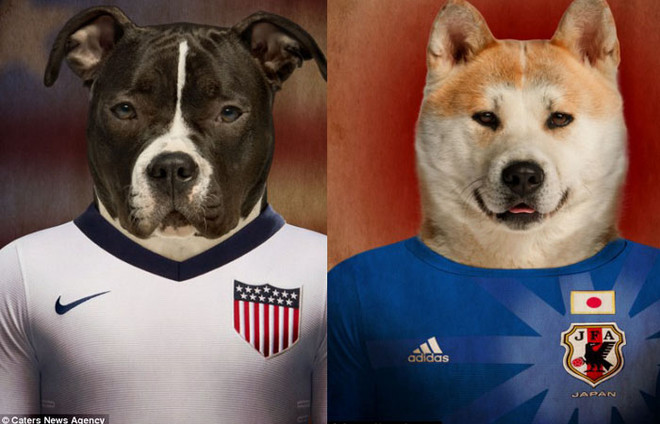 Điểm mặt các đội tuyển dự World Cup qua...ảnh chó ảnh 7