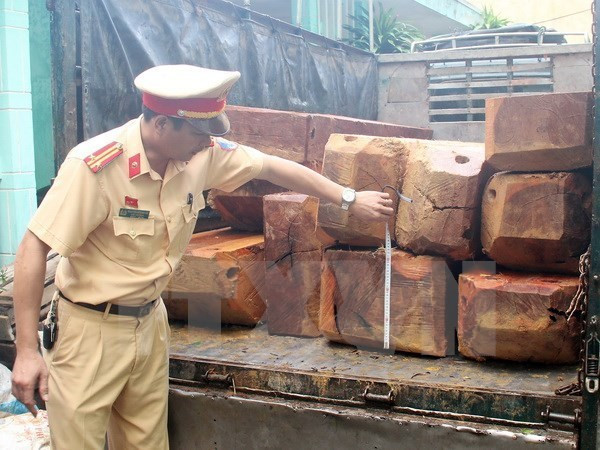Vụ bắt giữ gỗ lậu lớn ở Đắk Nông: Khởi tố và truy nã thêm 2 bị can ảnh 1