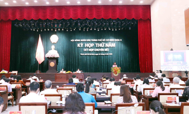 Thành phố Hồ Chí Minh thúc đẩy phát triển kinh tế-xã hội sau đại dịch ảnh 2