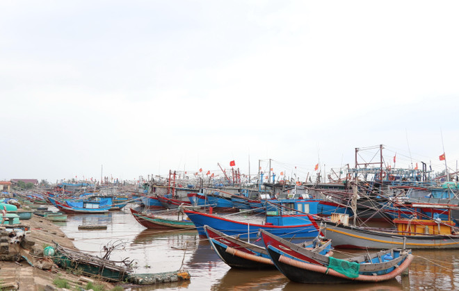 Công điện của của Thủ tướng về việc tập trung ứng phó với bão số 8 ảnh 1