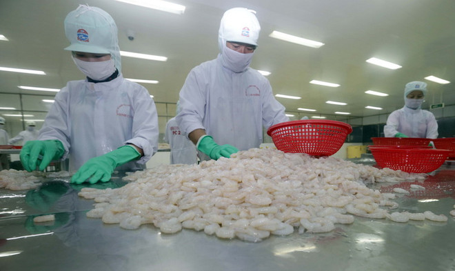 Nguyên nhân thực phẩm Việt Nam khó vào thị trường Malaysia ảnh 2