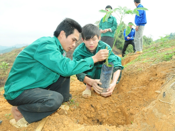 Hà Giang ra quân trồng mới 300 ha cao su chịu lạnh ảnh 1