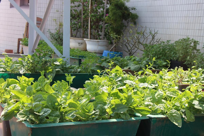 Bài 4: 'Cổ tích' có thật về phát triển ‘nông nghiệp tự túc’ trên đảo ảnh 2