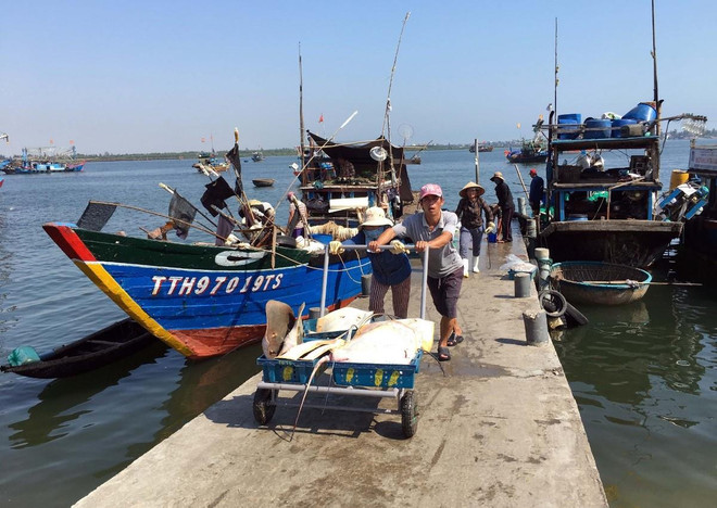 Bài 2: Những rào cản trong tiến trình phát triển kinh tế biển Việt Nam ảnh 1