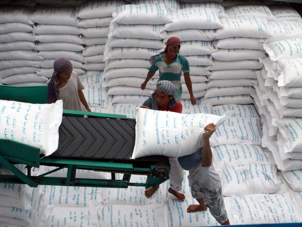 Cần Thơ phấn đấu xuất khẩu 1 triệu tấn gạo năm 2014 ảnh 1