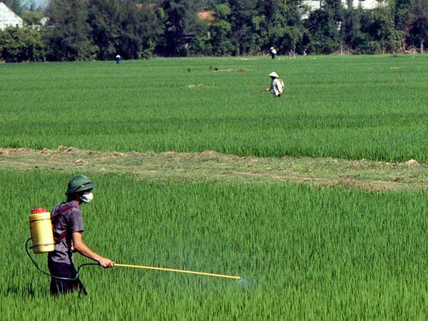 Nỗ lực giải quyết hậu quả ô nhiễm do thuốc bảo vệ thực vật ảnh 1