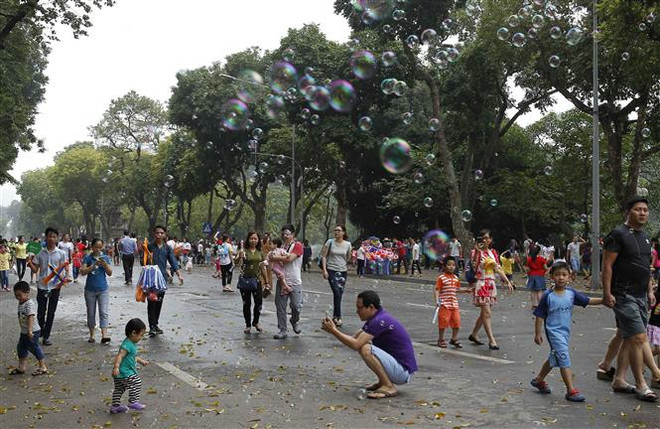 Năm 2019 Hà Nội hướng tới trồng cây xanh đẹp như cây cảnh ảnh 1