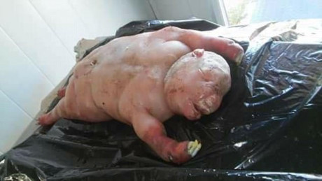 Dân làng khiếp sợ khi thấy cừu đẻ ra "quái vật nửa người nửa thú" ảnh 1