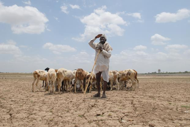 Hạn nặng ảnh hưởng nghiêm trọng tới 330 triệu người dân Ấn Độ ảnh 1