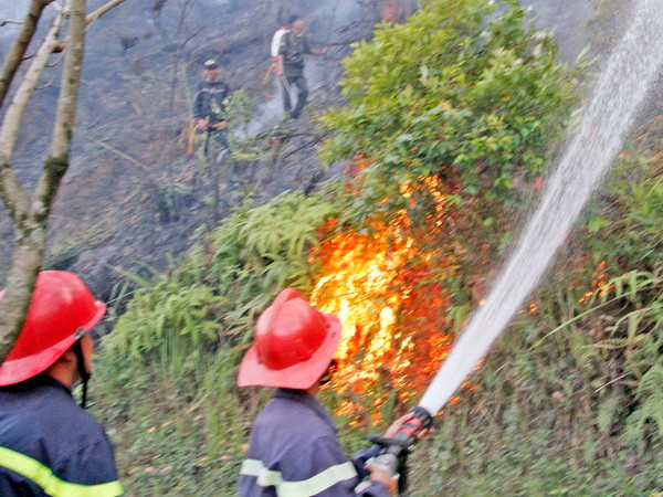Cháy rừng thực bì gần khu Bảo tồn thiên nhiên Bà Nà-Núi Chúa ảnh 1