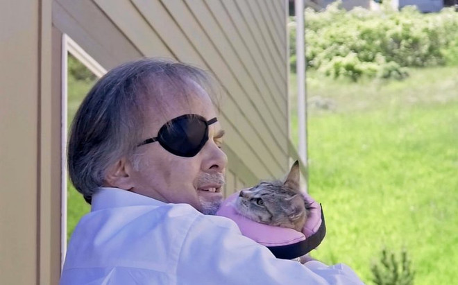 Chú mèo sống sót kỳ diệu sau khi bị phi tiêu đâm vào não ảnh 2