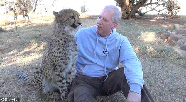 Báo đốm sung sướng khi gặp lại người chăm sóc mình sau một năm ảnh 3