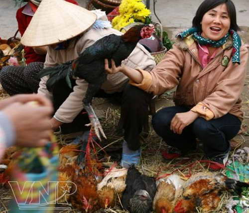 Náo nức những phiên chợ quê ngày Tết ảnh 1