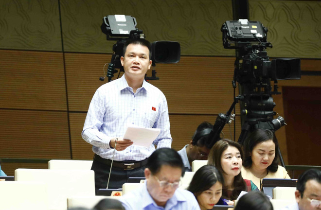 Cần tạo điều kiện về đất đai hỗ trợ khu vực hợp tác xã phát triển ảnh 2