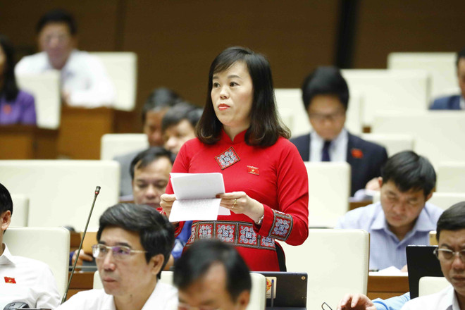 Cần tạo điều kiện về đất đai hỗ trợ khu vực hợp tác xã phát triển ảnh 3