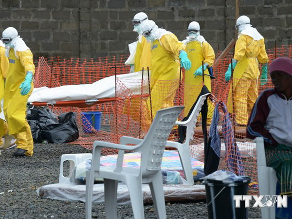 Australia cách ly thêm một bệnh nhân nghi nhiễm virus Ebola ảnh 1