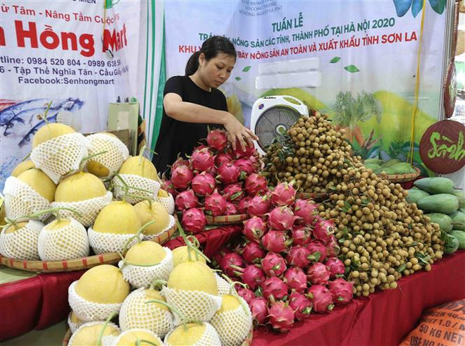 Hiệp định EVFTA: Tận dụng lợi thế tránh áp lực cho hàng Việt ảnh 1