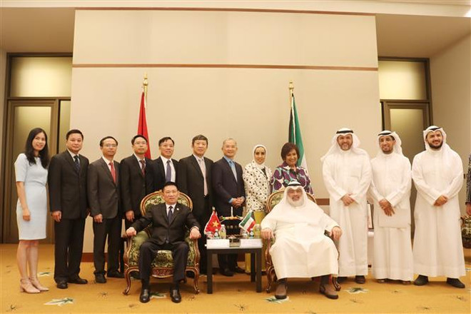 Kiểm toán Việt Nam đẩy mạnh hợp tác liên khu vực, phát triển bền vững ảnh 4