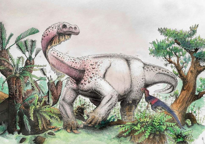 Phát hiện hóa thạch loài khủng long mới sống cách đây 200 triệu năm ảnh 1