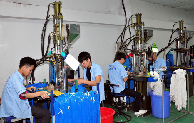 Việt Nam và Indonesia chia sẻ kinh nghiệm kiểm toán quản lý chất thải ảnh 1