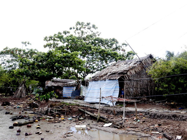 Cà Mau: Xuất hiện nhiều điểm sạt lở nghiêm trọng ở tuyến đê biển Tây ảnh 1
