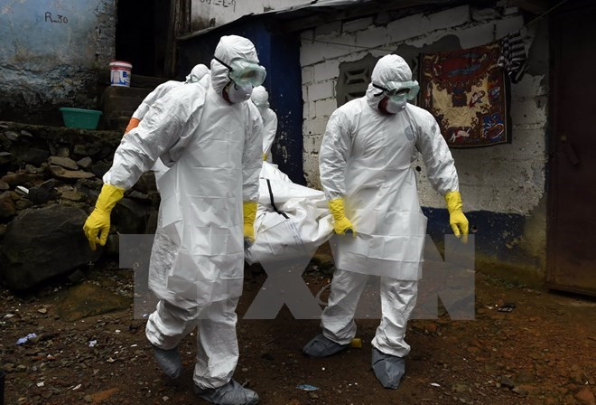 Thêm một trường hợp tử vong do virus Ebola tại Sierra Leone ảnh 1