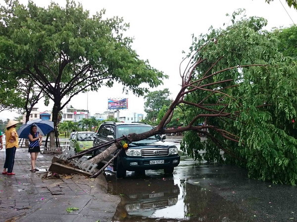 Đêm nay, miền Trung và Tây Nguyên mưa dông lớn do bão số 3 ảnh 1