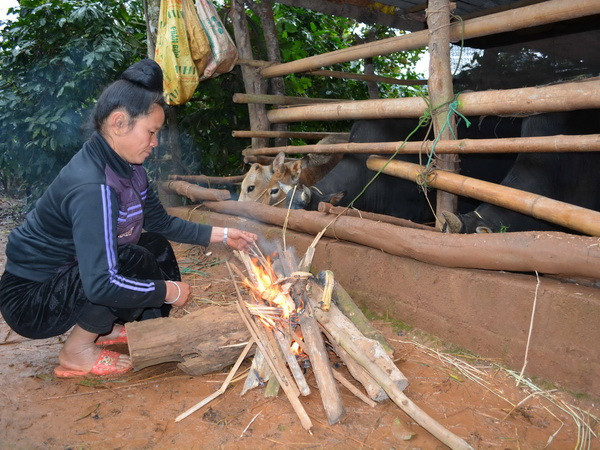 Từ đêm 28/2, không khí lạnh ảnh hưởng đến các vùng biển Việt Nam ảnh 1