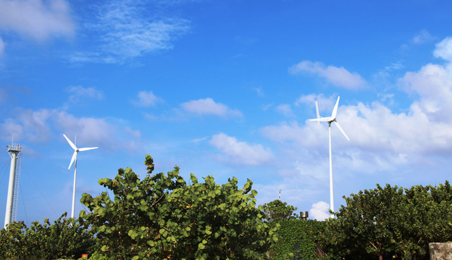 Triển khai thị trường carbon tại Việt Nam. (Ảnh minh họa. Nguồn: Hùng Võ/Vietnam+) vnp_gio.jpg