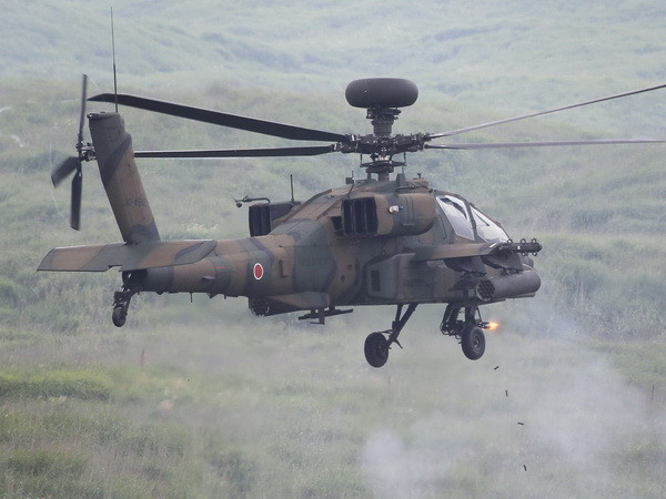 Ấn Độ thông qua thỏa thuận 2,5 tỷ USD mua trực thăng quân sự Mỹ ảnh 1