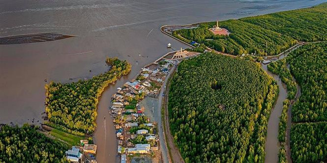 Kỷ luật hai cán bộ liên quan đến sai phạm tại Vườn Quốc gia Mũi Cà Mau ảnh 1