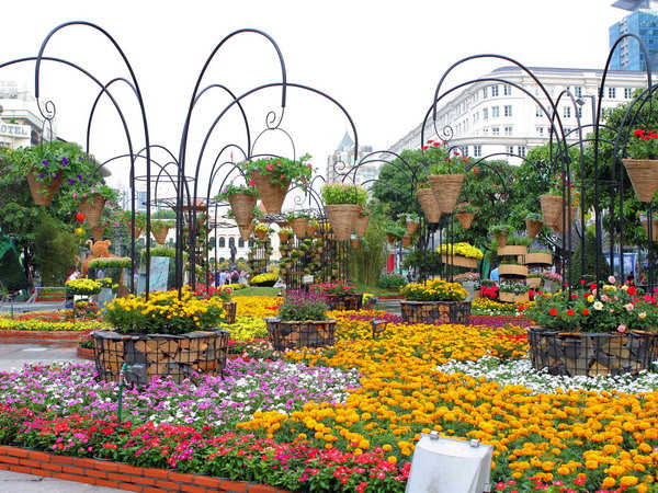 Chủ tịch nước Trương Tấn Sang dự khai mạc Đường hoa Nguyễn Huệ ảnh 2