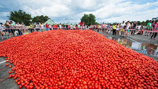 Australia: Sôi động trận chiến cà chua Tomato Battle tại Melbourne ảnh 2
