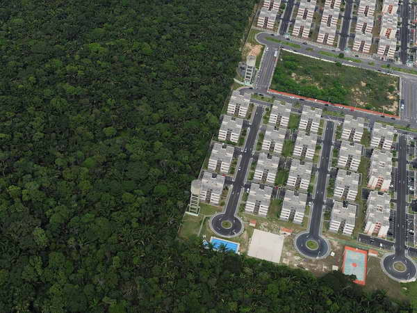 Thị trưởng Manaus phủ nhận tin đồn thất thiệt về thành phố ảnh 1