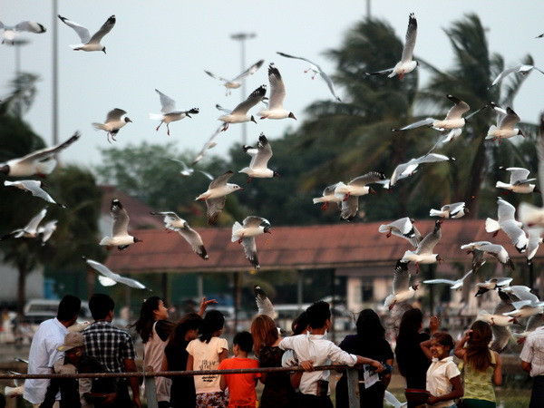 Myanmar-Liên hợp quốc hợp tác cải thiện an ninh xã hội ảnh 1