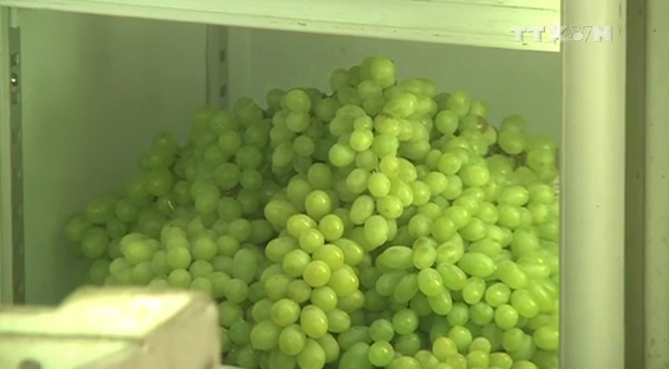 [Video] Cẩn trọng với hoa quả Trung Quốc đội lốt hàng Việt Nam ảnh 1
