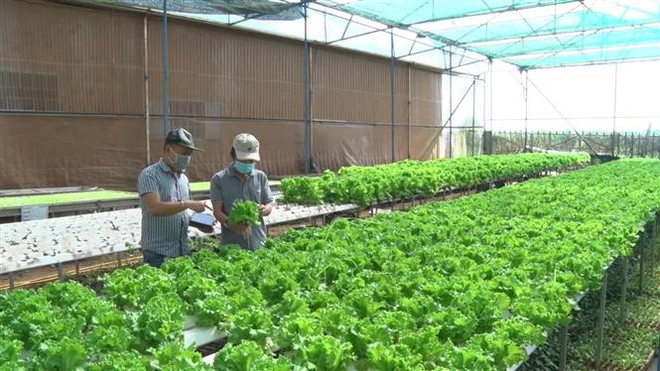 Triển khai kế hoạch hành động về tăng trưởng xanh trong nông nghiệp ảnh 1