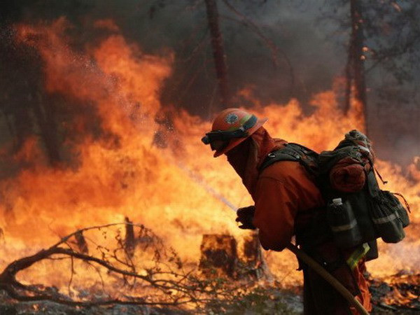 Cháy thư viện ở Nga, một triệu tài liệu lịch sử quý bị thiêu rụi ảnh 1