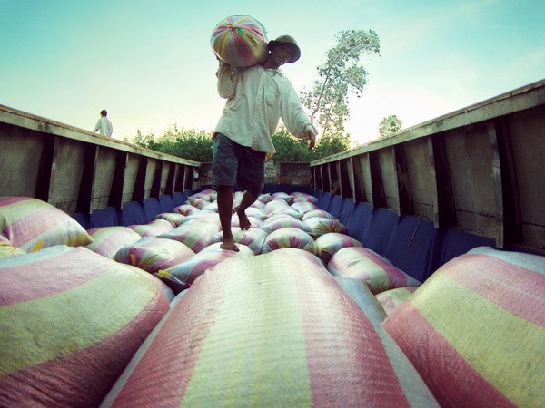 Tây Ninh cấp phát 145 tấn gạo cho Việt kiều Campuchia ảnh 1