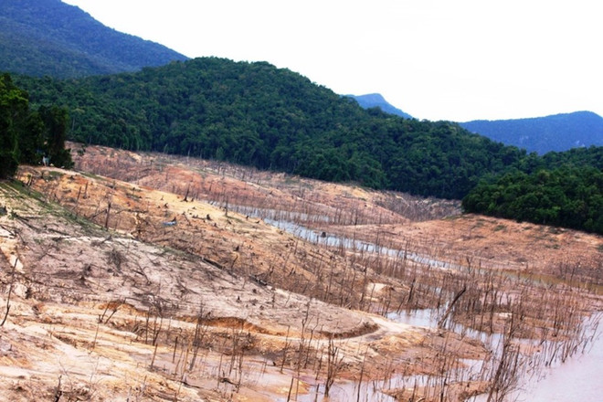 Đề nghị thủy điện Đăk Mi báo cáo việc vận hành khiến hạ du thiếu nước ảnh 1