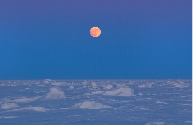 Nhiều nước tuyên bố nối lại hợp tác tại Hội đồng Bắc Cực ảnh 1