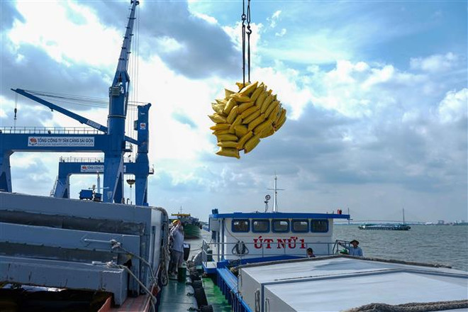 Phát triển kinh tế ĐBSCL: Khơi thông điểm nghẽn phát triển logistics ảnh 1