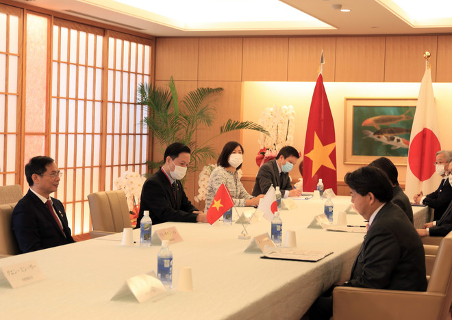 Thúc đẩy quan hệ Đối tác chiến lược sâu rộng Việt Nam-Nhật Bản ảnh 2