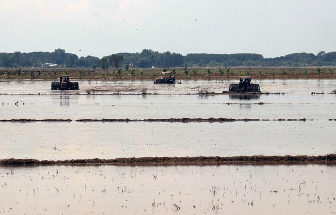 Vụ Đông Xuân 2021-2022: Đảm bảo nguồn nước mà vẫn tiết kiệm lượng xả ảnh 1