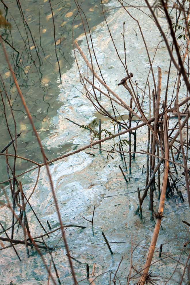 Kon Tum: Làm rõ nguyên nhân gây ô nhiễm tại lòng hồ thủy điện Yaly ảnh 2