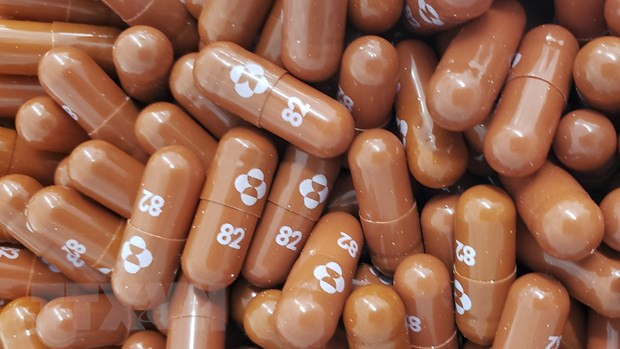 Merck ký cung cấp cho UNICEF 3 triệu liệu trình thuốc molnupiravir ảnh 1