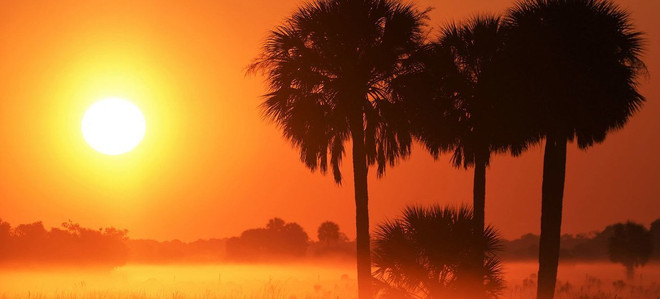 Tổ chức Khí tượng thế giới: 2021 là một trong 7 năm nóng kỷ lục ảnh 1